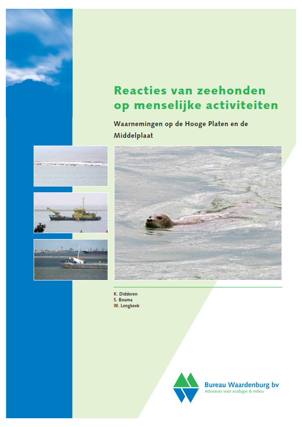 20_Didderen_2012_Reactie_zeehonden_op_mensen_BuWa_12-006